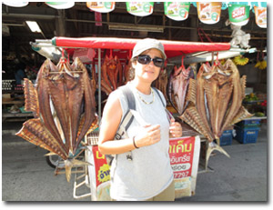 cerca de un puesto de pescado seco en Thong Sala